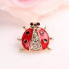 Broches Strass Coccinelle