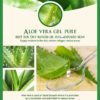 Gel Aloe Vera anti rides & acné